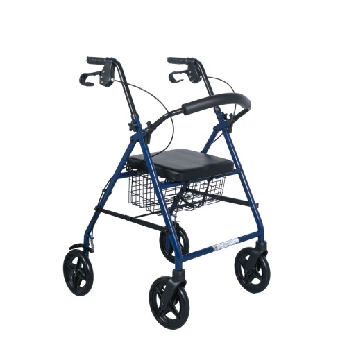 Περιπατητήρας Rollator Blueimage